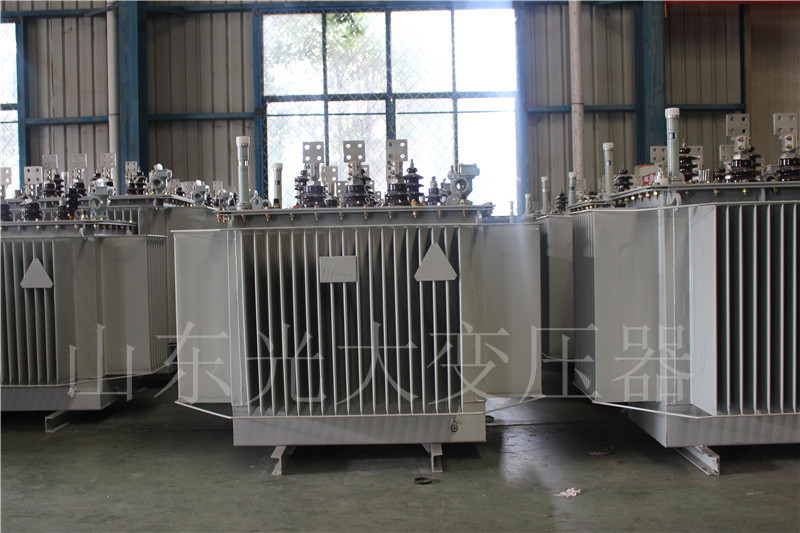 莱山S20-500KVA/10KV
